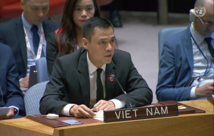 Le Vietnam exprime sa position sur le conflit israélo-palestinien au Conseil de sécurité - ảnh 1