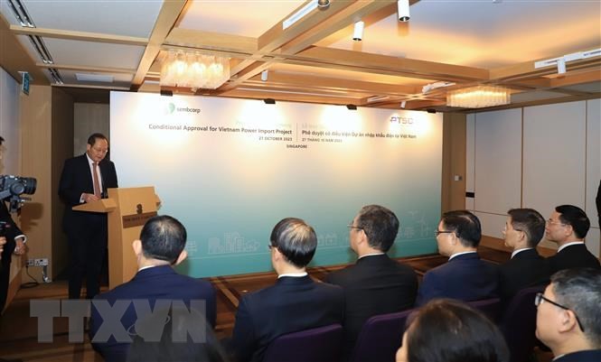 Singapour approuve l’importation d’électricité éolienne du Vietnam - ảnh 1
