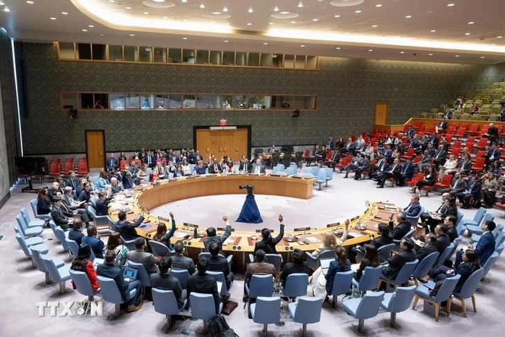 Conflit Hamas-Israël: la Palestine salue la résolution du Conseil de sécurité des Nations Unies appelant à un cessez-le-feu à Gaza - ảnh 1