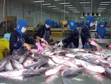 เวียดนามพยายามส่งออกปลาสวายให้ได้ 2 พันล้านเหรียญสหรัฐ  - ảnh 2