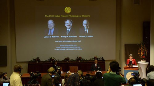 นักวิทยาศาสตร์สหรัฐและเยอรมันได้รับรางวัลโนเบลสาขาการแพทย์ประจำปี 2013 - ảnh 1