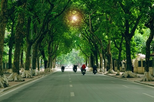 ถนนต่างๆที่สวยงามในกรุงฮานอย - ảnh 1