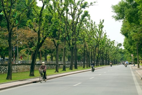 ถนนต่างๆที่สวยงามในกรุงฮานอย - ảnh 4