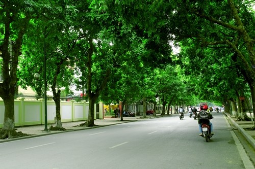 ถนนต่างๆที่สวยงามในกรุงฮานอย - ảnh 6