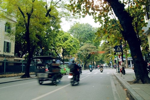 ถนนต่างๆที่สวยงามในกรุงฮานอย - ảnh 7