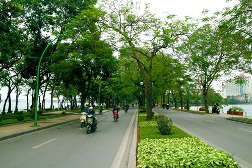 ถนนต่างๆที่สวยงามในกรุงฮานอย - ảnh 9