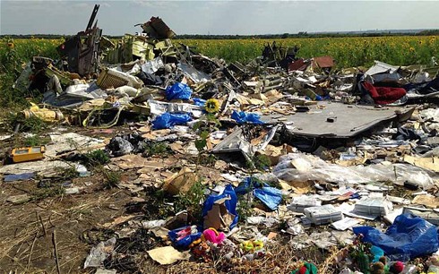 สามารถตกลงกันได้ในการรักษาความปลอดภัยให้แก่ผู้เชี่ยวชาญที่เข้าไปยังสถานที่เกิดเหตุเครื่องบิน MH17 ตก - ảnh 1