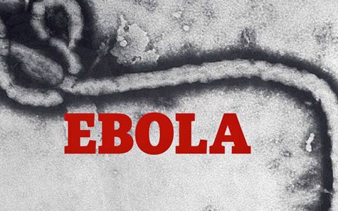 ผู้เชี่ยวชาญองค์การอนามัยโลกชื่นชมการรับมือเชื้อไวรัสอีโบลาของเวียดนาม - ảnh 1