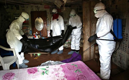 พบผู้ป่วยติดเชื้อไวรัสอีโบลารายที่สองในสหรัฐ - ảnh 1