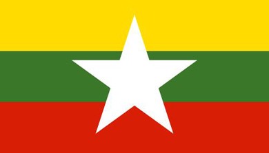 สถานทูตพม่าฉลองครบรอบ 70 ปีวันก่อตั้งกองทัพพม่า - ảnh 1