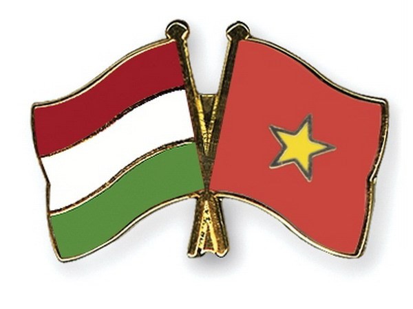เวียดนามและฮังการีขยายความร่วมมือด้านตุลาการ - ảnh 1