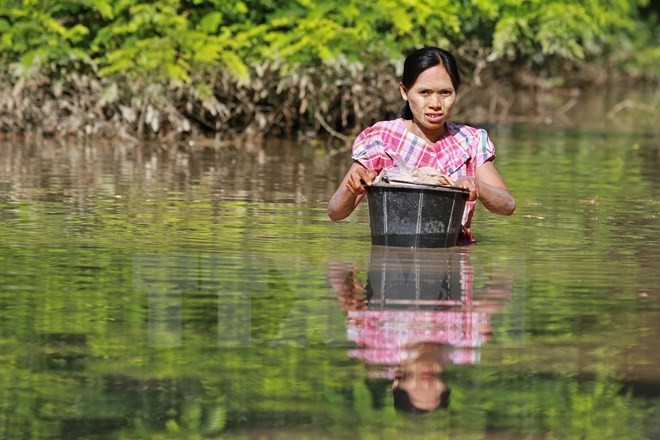 อาเซียนพยายามช่วยเหลือผู้เคราะห์ร้ายจากเหตุน้ำหลากและน้ำท่วมในพม่า - ảnh 1