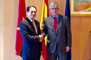 เวียดนามเป็นประธานการทาบทามความคิดเห็นทางการเมืองกับสเปน - ảnh 1
