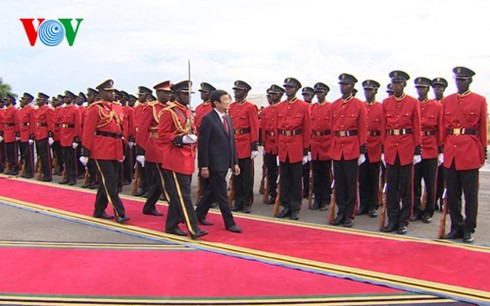 ประธานประเทศเจืองเติ๊นซางเสร็จสิ้นการเยือนประเทศแทนซาเนีย - ảnh 1
