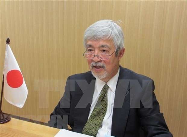 Experto japonés alaba el papel de Vietnam como presidente de la Asean en 2020 - ảnh 1