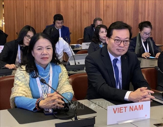 Vietnam active at 33rd conference of Red Cross, Red Crescent - ảnh 1
