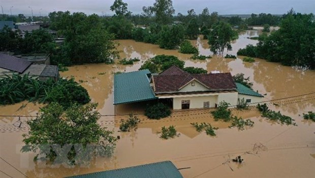 Vietnamese in Czech, Poland raise fund to help flood victims - ảnh 1