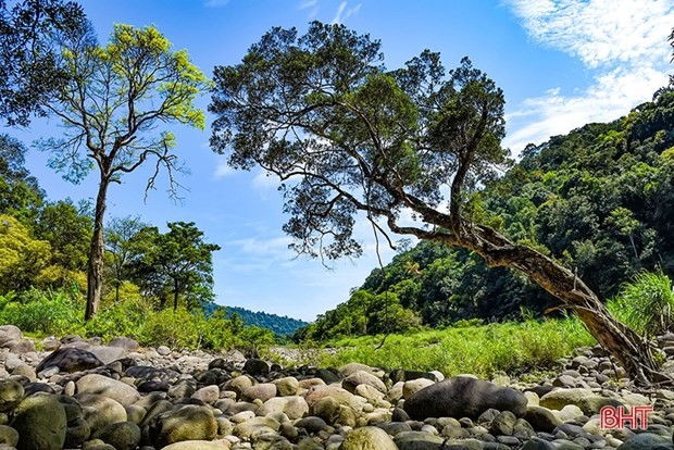 Vu Quang National Park receives ASEAN Heritage Park certificate - ảnh 1