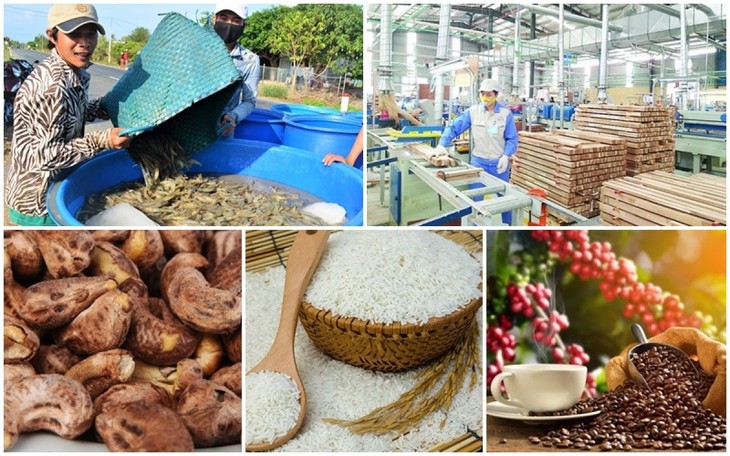Eight groups of agricultural products surpass billions of USD in revenue - ảnh 1