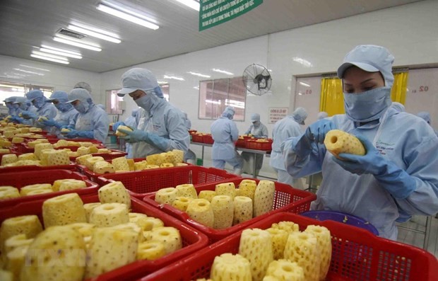 Vietnam targets 10 billion USD from fruit, vegetable exports by 2030 - ảnh 1