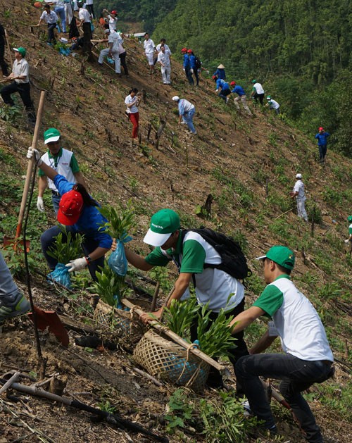 Ngân hàng Thế giới hỗ trợ Việt Nam chống biến đổi khí hậu  - ảnh 1
