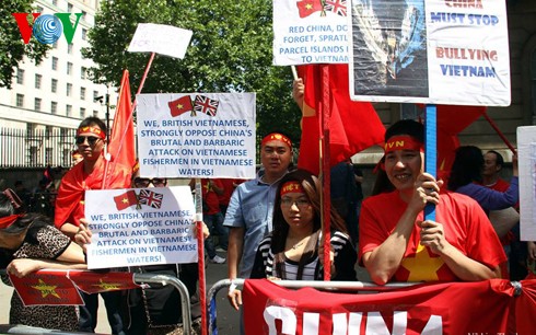 Người Việt tại Anh xuống đường biểu tình phản đối Trung Quốc - ảnh 5