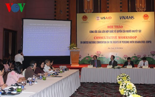 Việt Nam phê chuẩn công ước của Liên hợp quốc về quyền của người khuyết tật - ảnh 1