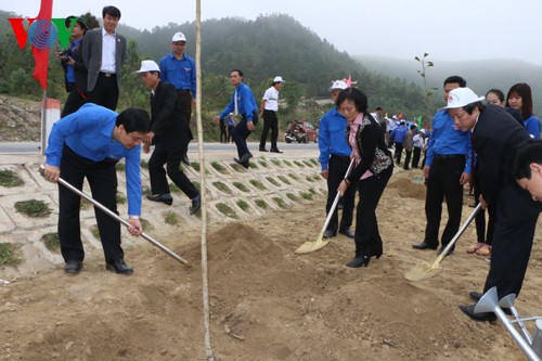 TW Đoàn TNCS HCM phát động Tết trồng cây tại khu mộ Đại tướng Võ Nguyên Giáp - ảnh 1