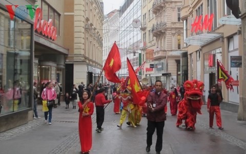 Khai mạc Ngày văn hóa Việt Nam tại Brno – CH Séc - ảnh 1