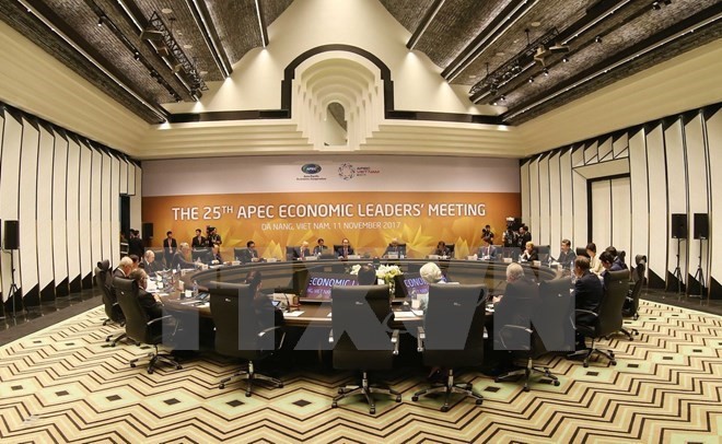 Chủ tịch nước Trần Đại Quang: APEC 2017 khẳng định vai trò và vị thế của Việt Nam  - ảnh 1