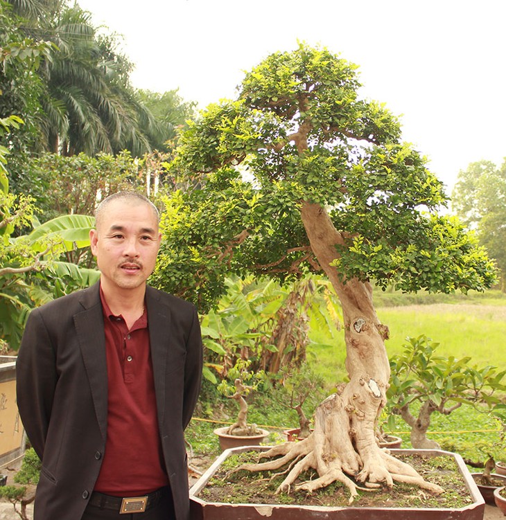Triển lãm cây cảnh tại Hà Nội thu hút hàng vạn khách tham quan - ảnh 3