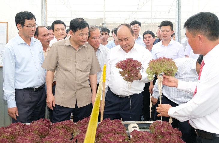 Thủ tướng thăm mô hình nông nghiệp sạch tại Lâm Đồng - ảnh 1