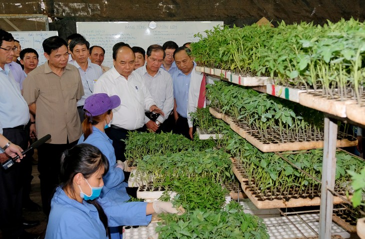 Thủ tướng thăm mô hình nông nghiệp sạch tại Lâm Đồng - ảnh 2