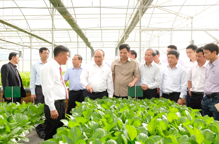 Thủ tướng thăm mô hình nông nghiệp sạch tại Lâm Đồng - ảnh 3
