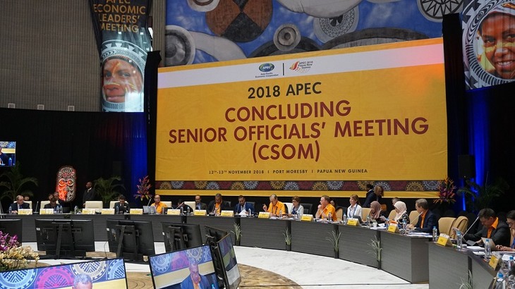 Hội nghị tổng kết các quan chức cao cấp APEC chuẩn bị cho Tuần lễ Cấp cao APEC 2018  - ảnh 1