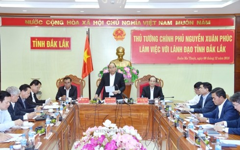 Thủ tướng lưu ý Đắk Lắk về phát triển rừng và công nghiệp chế biến gỗ - ảnh 1