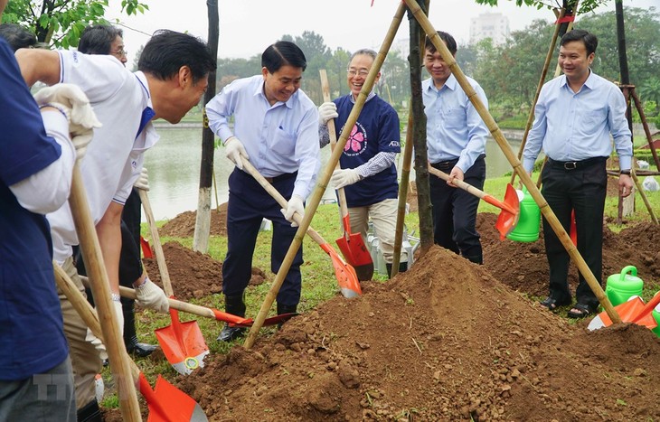 Hoa anh đào, cầu nối của tình hữu nghị Việt Nam-Nhật Bản - ảnh 1