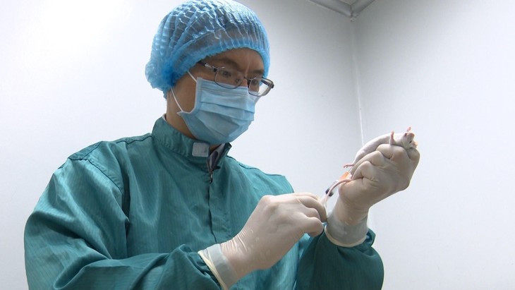 Việt Nam phát triển thành công dự tuyển vaccine phòng virus SARS-CoV-2 ở quy mô phòng thí nghiệm. - ảnh 1
