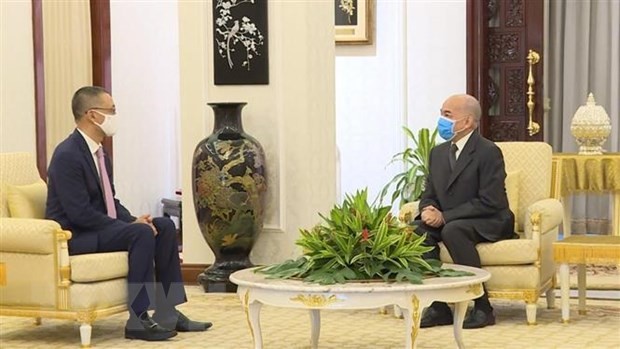 Đại sứ Vũ Quang Minh yết kiến và chào từ biệt Quốc vương Campuchia - ảnh 1