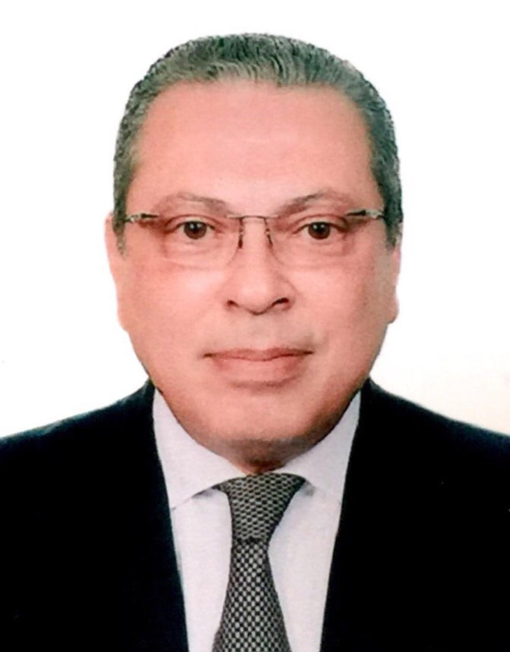 Đại sứ Ai Cập “thật sự ấn tượng” với bài viết của Tổng Bí thư Nguyễn Phú Trọng - ảnh 1