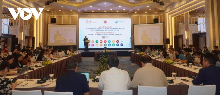 Việt Nam tiếp tục cam kết mạnh mẽ việc thực hiện các mục tiêu SDGs - ảnh 1
