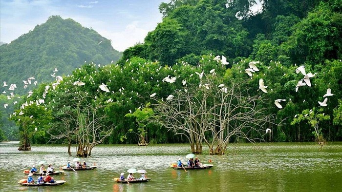 Việt Nam phát triển du lịch sinh thái gắn với bảo tồn đa dạng sinh học - ảnh 1
