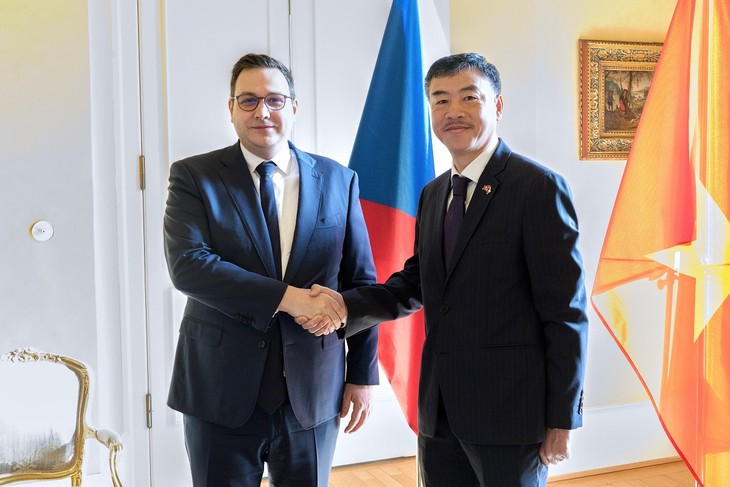 Việt Nam là đối tác quan trọng của CH Czech tại Đông Nam Á - ảnh 1