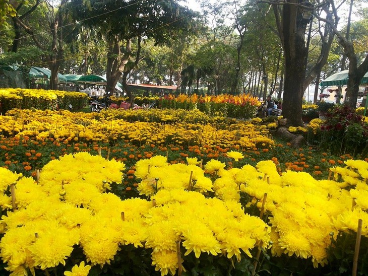  Hội hoa xuân lớn nhất thành phố Hồ Chí Minh với chủ đề “Thành phố tôi yêu” - ảnh 1