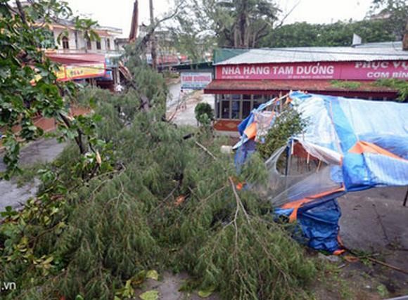 Hoàn lưu bão Kalmaegi làm 8 người chết, hàng chục nghìn hécta lúa bị ngập úng - ảnh 1