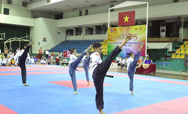 Việt Nam vô địch toàn đoàn Giải vô địch và trẻ Taekwondo Đông Nam Á năm 2015  - ảnh 1