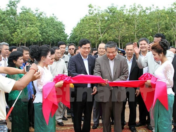 Các doanh nghiệp cao su Việt Nam hoạt động hiệu quả tại Campuchia  - ảnh 1