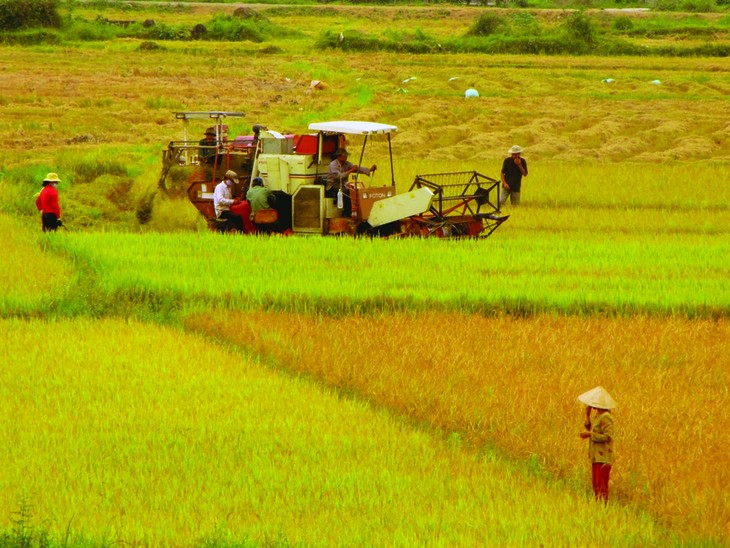 Việt Nam tái cơ cấu ngành nông nghiệp để hội nhập và phát triển  - ảnh 1