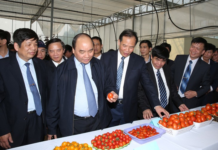  Phó Thủ tướng Nguyễn Xuân Phúc thăm và chúc Tết tại Hải Dương  - ảnh 1