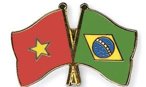 Góp phần giữ gìn, phát triển tình hữu nghị đoàn kết, hợp tác Việt Nam-Brazil - ảnh 1